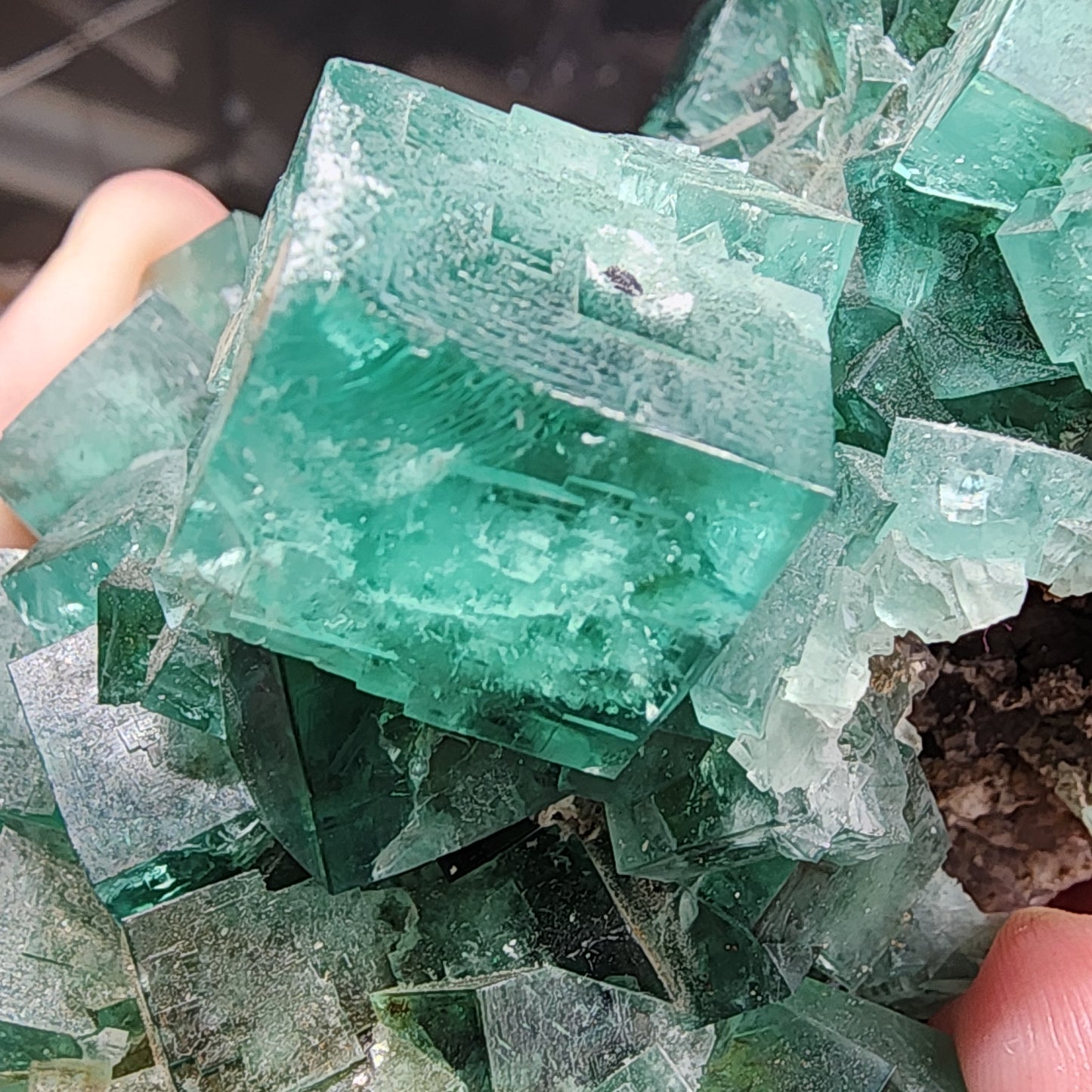 Fluorite- Rogerley Mine, Frosterly, Weardale, Co. Durham, England, sku 4006