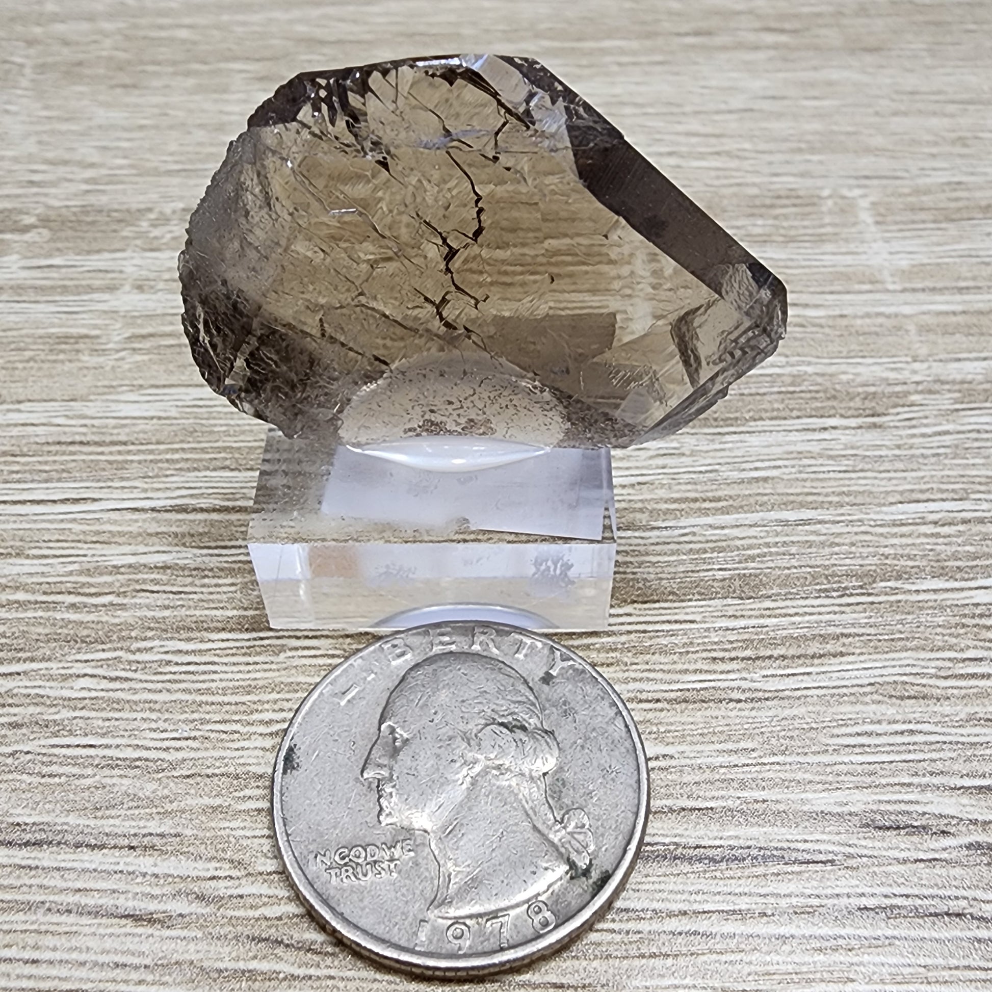 A smoky quartz, potentially a Tiefen Glacier Gwindel from The Crystalary (LIVE- HappytobeMe1016- 12/12/2024), rests on a clear stand. A 1978 "Liberty" U.S. quarter is beside it for scale, elegantly displayed on a wooden surface.