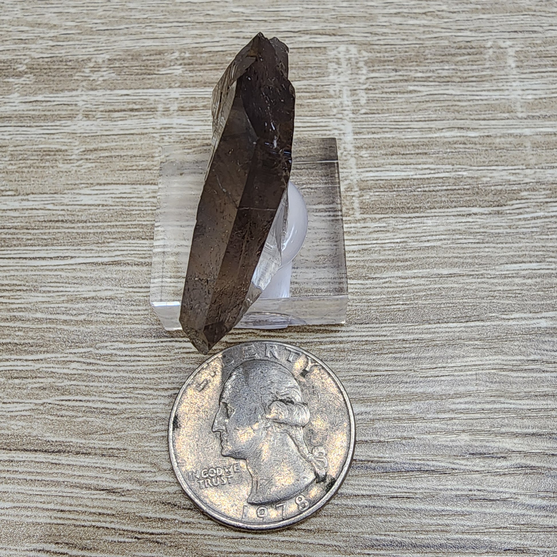 A translucent brown crystal from The Crystalary's LIVE- HappytobeMe1016- 12/12/2024 collection stands vertically on a clear square base atop a wooden surface, with a U.S. quarter in front for size comparison.