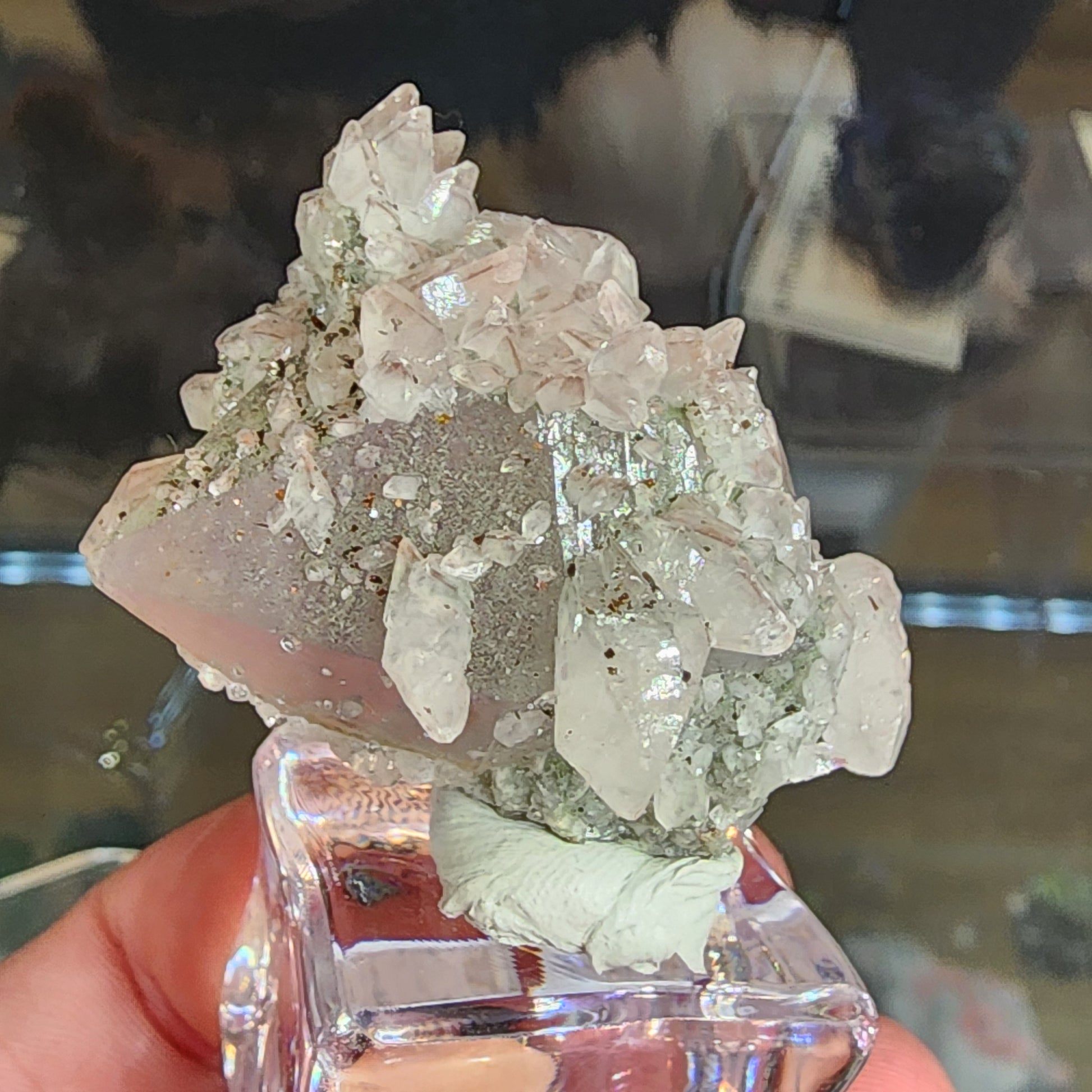 A hand holds a cluster of clear quartz crystals on a small stand. These crystals, similar to those from the Tonglushan Mine and with SKU 3100, are translucent with pale pink hues and rough sparkly surfaces. Set against a blurred background, they are part of The Crystalary collection.