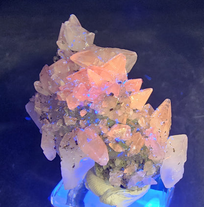 A cluster of calcites from The Crystalary, Tonglushan Mine, rests on a rock base illuminated by blue light. Translucent crystals vary in size with shimmering reflective particles, creating a vibrant display against a dark background. (Product: Quartz v. Amethyst, Calcite; SKU: 3100).