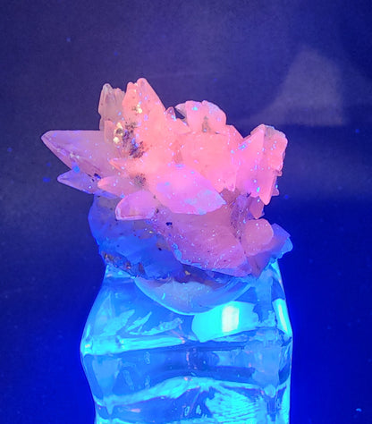 A cluster of pink fluorescent crystals sits atop a cylindrical pedestal, glowing vibrantly under blue light, reminiscent of rare calcite. The deep blue background enhances the dazzling details of "Quartz v. Amethyst, Calcite" from Tonglushan Mine, SKU 3101 by The Crystalary.