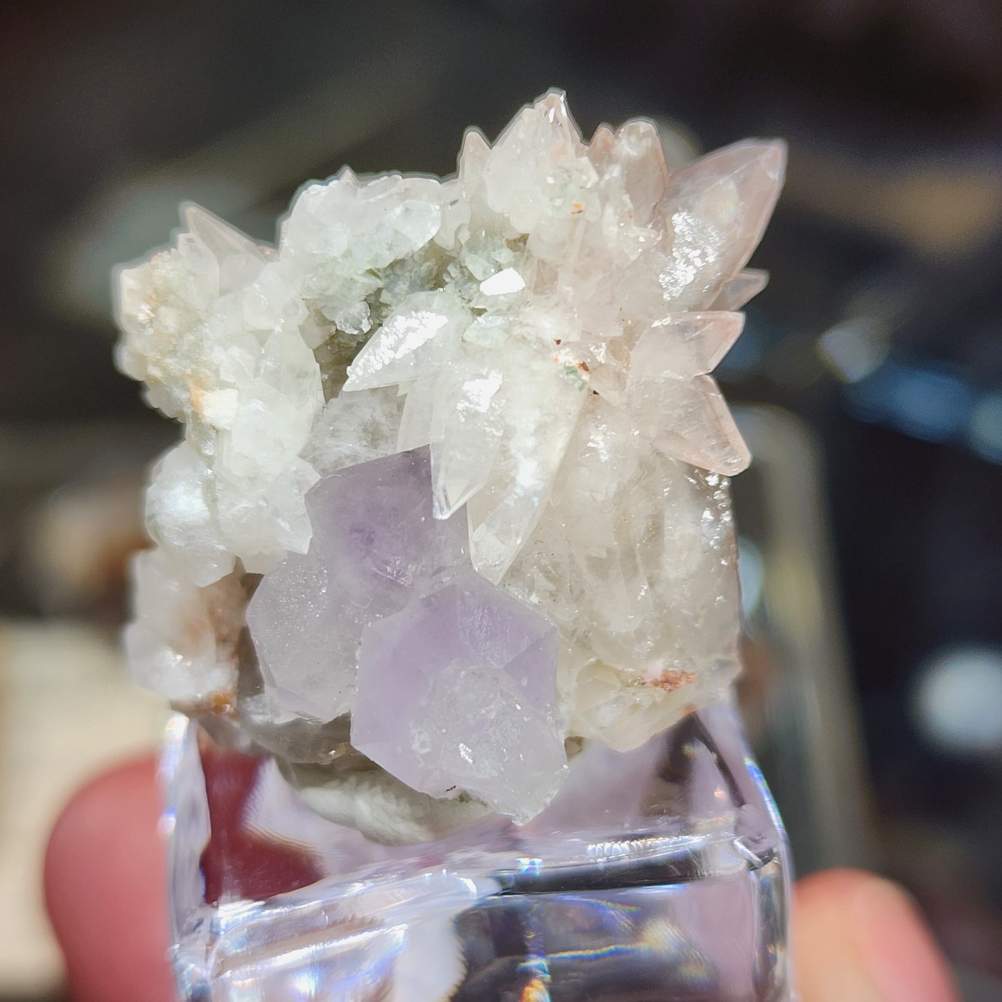 A hand holds a cluster of Quartz v. Amethyst and Calcite crystals, SKU 3101, from The Crystalary, featuring sharp edges and set on a small transparent stand. The softly blurred background highlights their intricate details originating from Tonglushan Mine, Hubei Province, China.