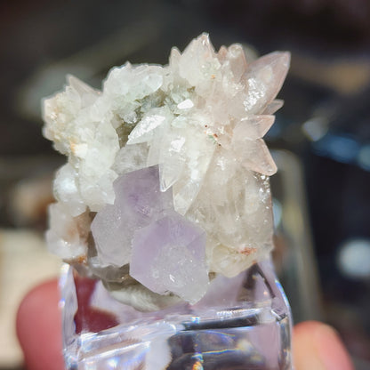 A hand holds a cluster of Quartz v. Amethyst and Calcite crystals, SKU 3101, from The Crystalary, featuring sharp edges and set on a small transparent stand. The softly blurred background highlights their intricate details originating from Tonglushan Mine, Hubei Province, China.