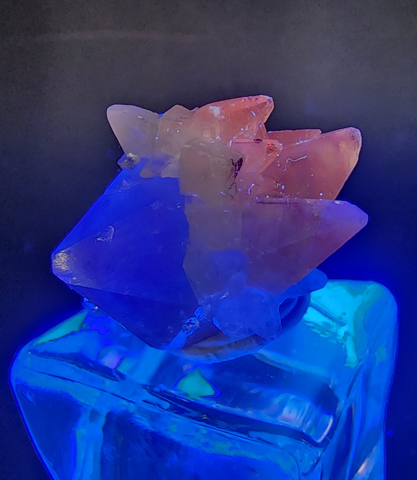 The Crystalary's Quartz with Amethyst and Calcite from Tonglushan Mine, SKU 3103, features multicolored blue and pink hues on a transparent stand. Illuminated by a glowing blue light against a dark backdrop, it highlights the gem's geometric shapes and reflective elegance.