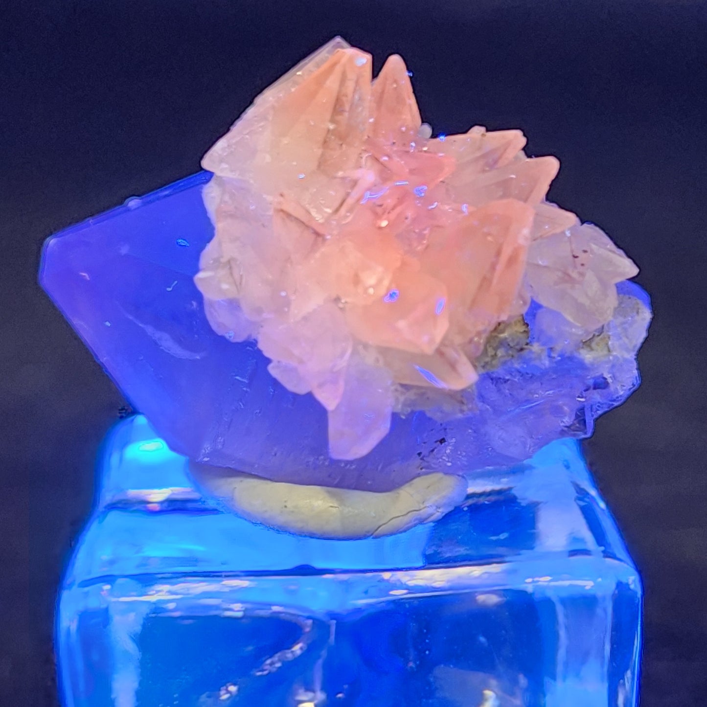 A pink cluster of translucent crystals rests on a larger amethyst on a glowing blue surface, enhanced by a dark background. These captivating formations evoke treasures from the Tonglushan Mine. Product: Quartz v. Amethyst, Calcite-Tonglushan Mine SKU 3106 by The Crystalary.