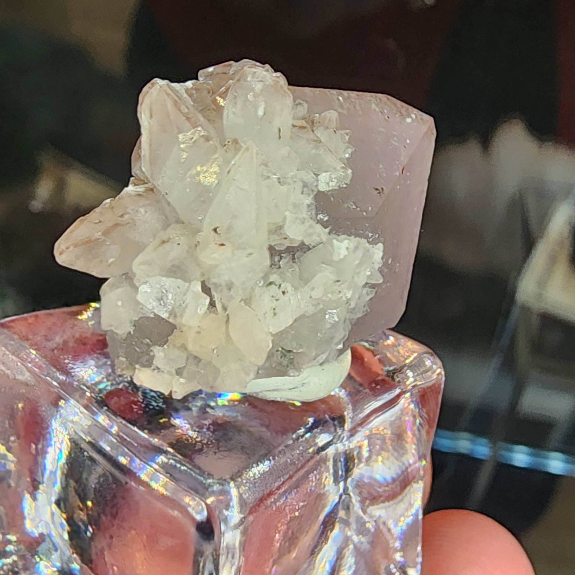 A close-up of translucent, white quartz and calcite formations, with a larger light pink amethyst in the background, on a square reflective base. Displayed in a hand, this stunning miniature scene from The Crystalary features SKU 3107 from Tonglushan Mine.