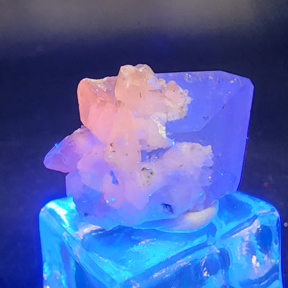 A miniature Quartz v. Amethyst from The Crystalary (sku 3107), akin to those in Tonglushan Mine, is aglow with blue lighting, highlighting its transparency and texture on a reflective surface against a dark backdrop.