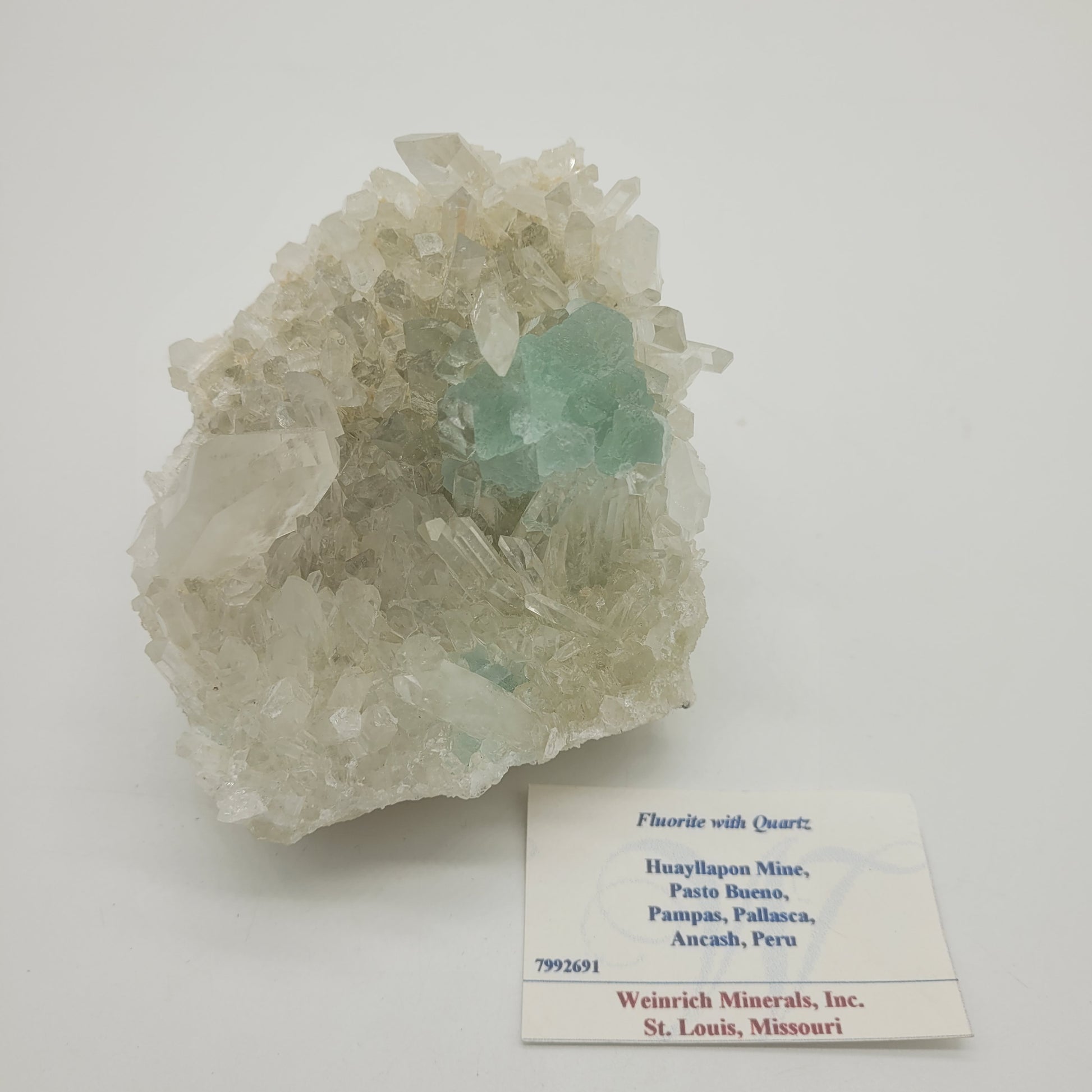 A cluster of clear quartz crystals with minty green fluorite elegantly rises from the matrix on a white surface. A small card nearby reads: "Fluorite with Quartz, Huayllapon Mine, Pasto Bueno, Pampas, Pallasca, Ancash, Peru." The Crystalary. SKU 801.