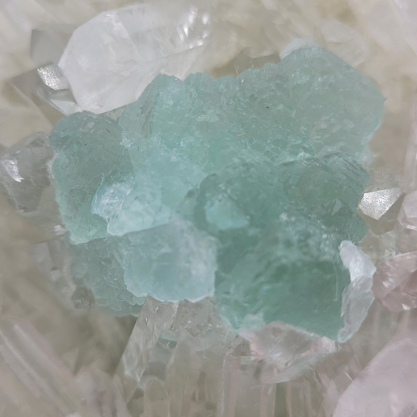 A close-up of translucent pale blue Fluorite crystals, resting on a matrix and surrounded by clear Quartz, is seen in this piece from The Crystalary (sku 801). The rough texture reflects light beautifully, giving it a shiny appearance. Origin: Huayllapon Mine, Peru.