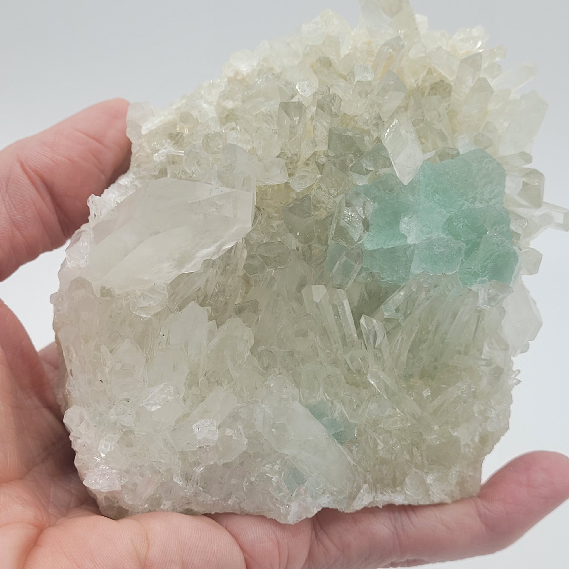 A hand displays a cluster of "Fluorite with Quartz" from The Crystalary, featuring quartz crystals with minty-green fluorite inclusions. These sharp formations gleam against a plain background, highlighting their unique matrix. (SKU 801).