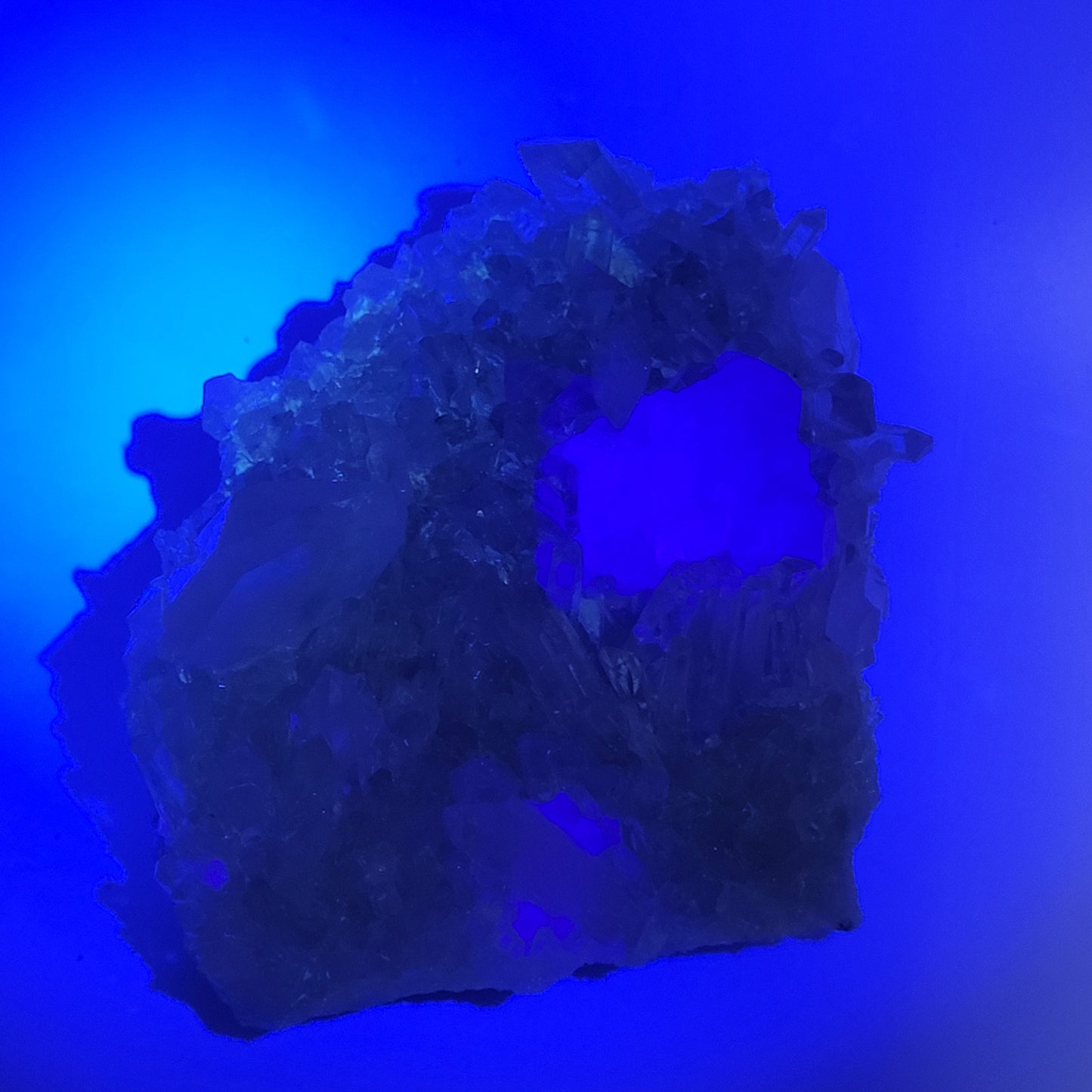 An ethereal glow envelops a jagged fluorite with quartz from The Crystalary, SKU 801. A vibrant blue light against a matching background highlights its natural texture and depth, enhancing the translucent quartz crystal's uneven surfaces.