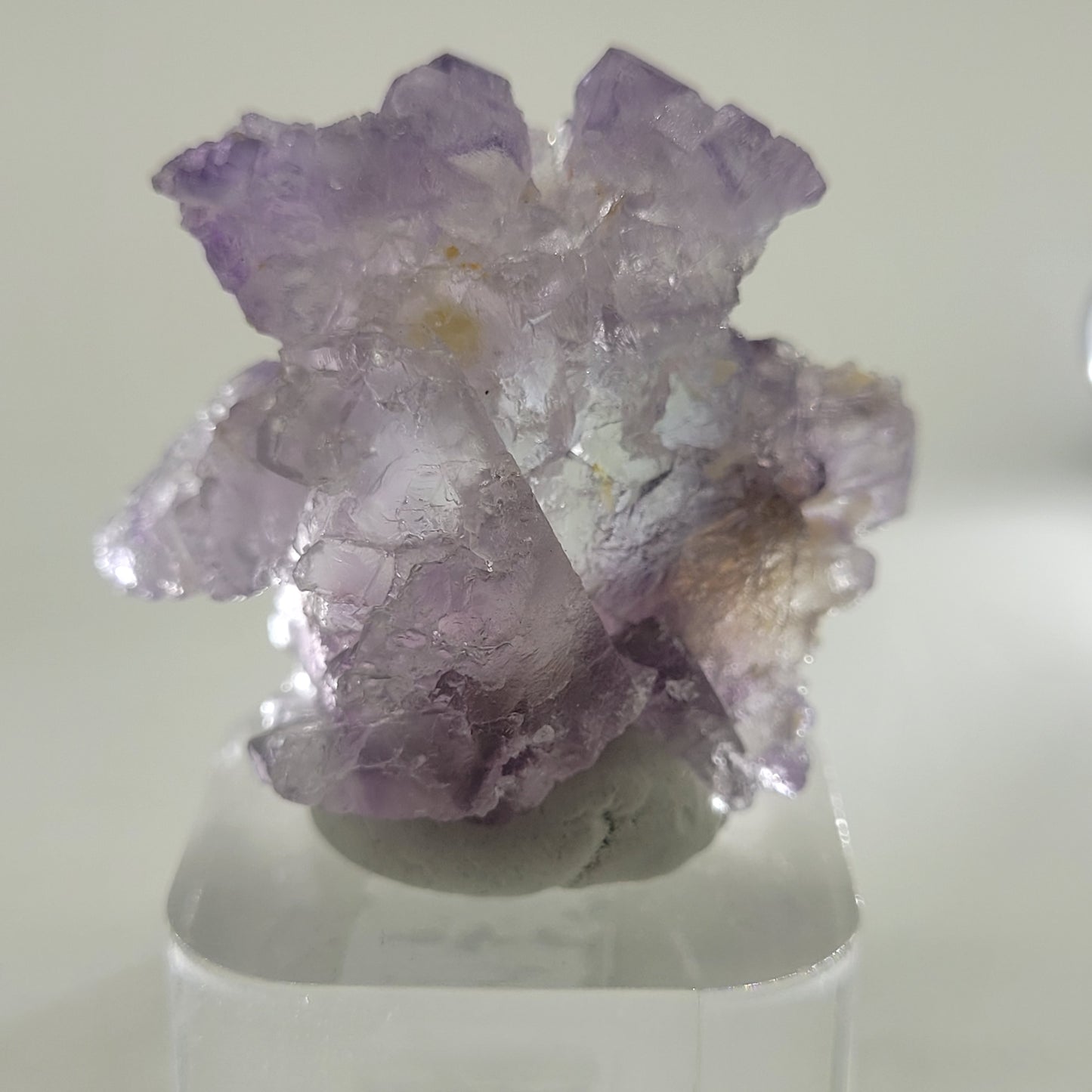 This exquisite Fluorite specimen from Huallanca, Ancash, Peru (sku 802) by The Crystalary showcases translucent cubic crystals with a rough texture on an acrylic base. Its blend of light and dark purple hues stands out against the softly lit background.