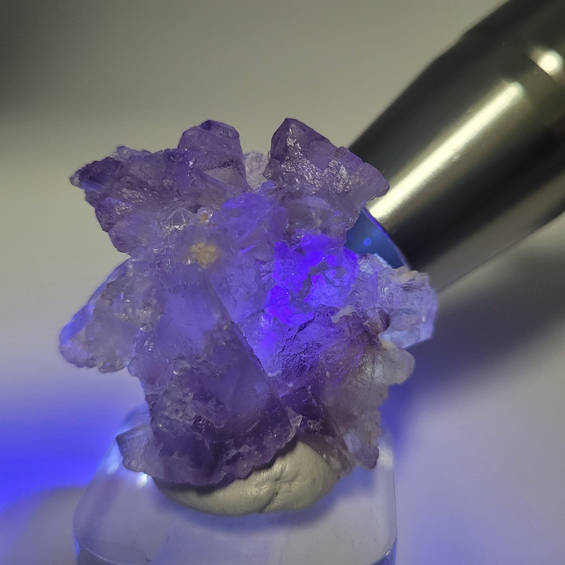 A close-up image of the Fluorite-Huallanca, Ancash, Peru (sku 802) by The Crystalary is softly lit to reveal its jagged, textured purple crystals glistening under a blue light, all set against a neutral background on an acrylic base.