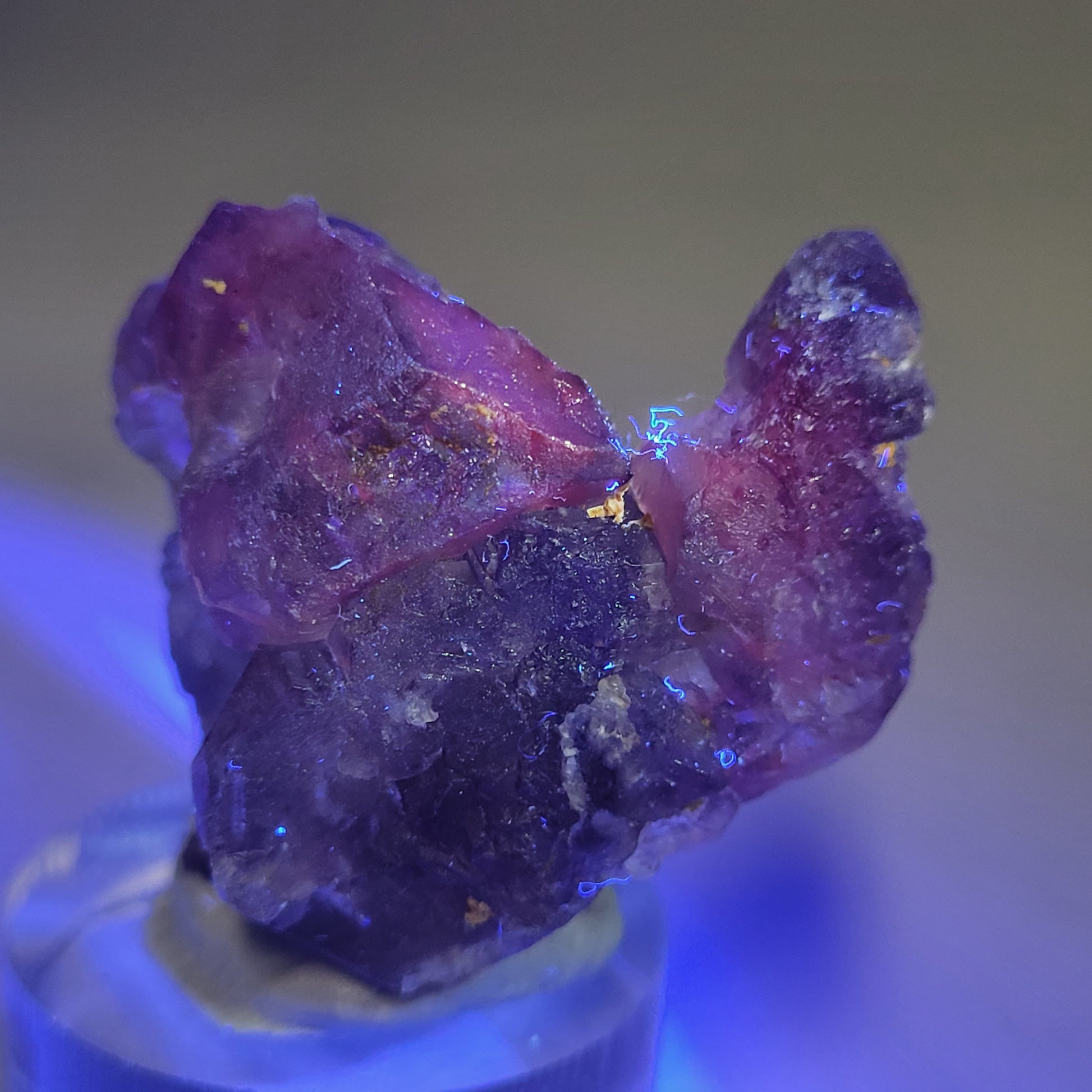 A close-up of The Crystalary's Fluorite- Huallanca, Ancash, Peru (sku 803), showcases its vibrant hues and textured appearance. This rough purple specimen with irregular surfaces is illuminated by soft blue light as it rests on an acrylic base against a neutral background.