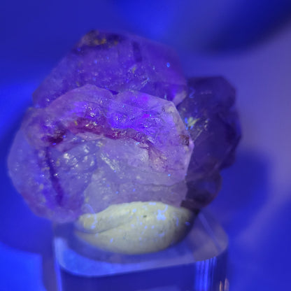 A cluster of translucent purple fluorite crystals from Huallanca, Ancash, Peru (sku 804) by The Crystalary is softly illuminated with blue light to enhance its vibrant hues and rests on a small clear stand.