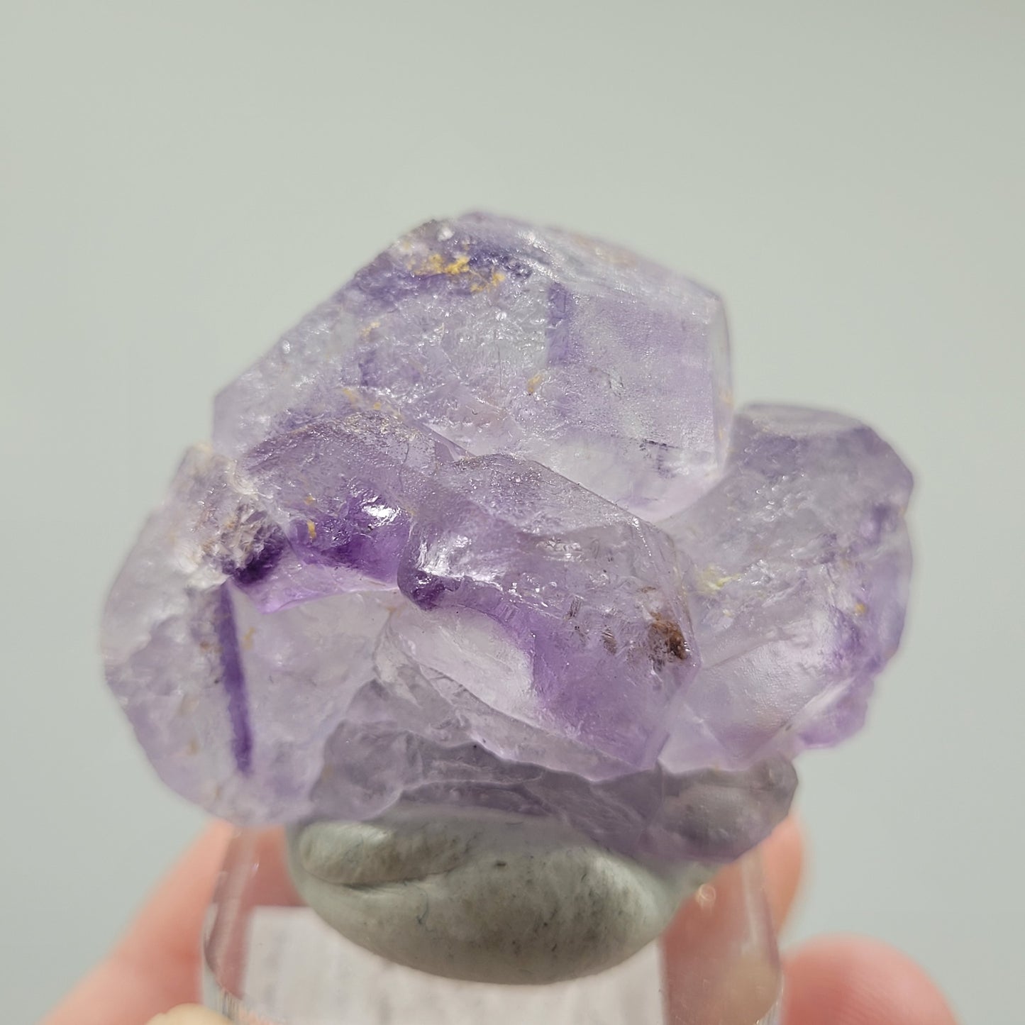 A hand showcases a Fluorite specimen from Huallanca, Ancash, Peru (sku 804) by The Crystalary. These irregularly shaped, translucent purple crystals sit on a small stone base, their vibrant hues enhanced against a soft gray background.