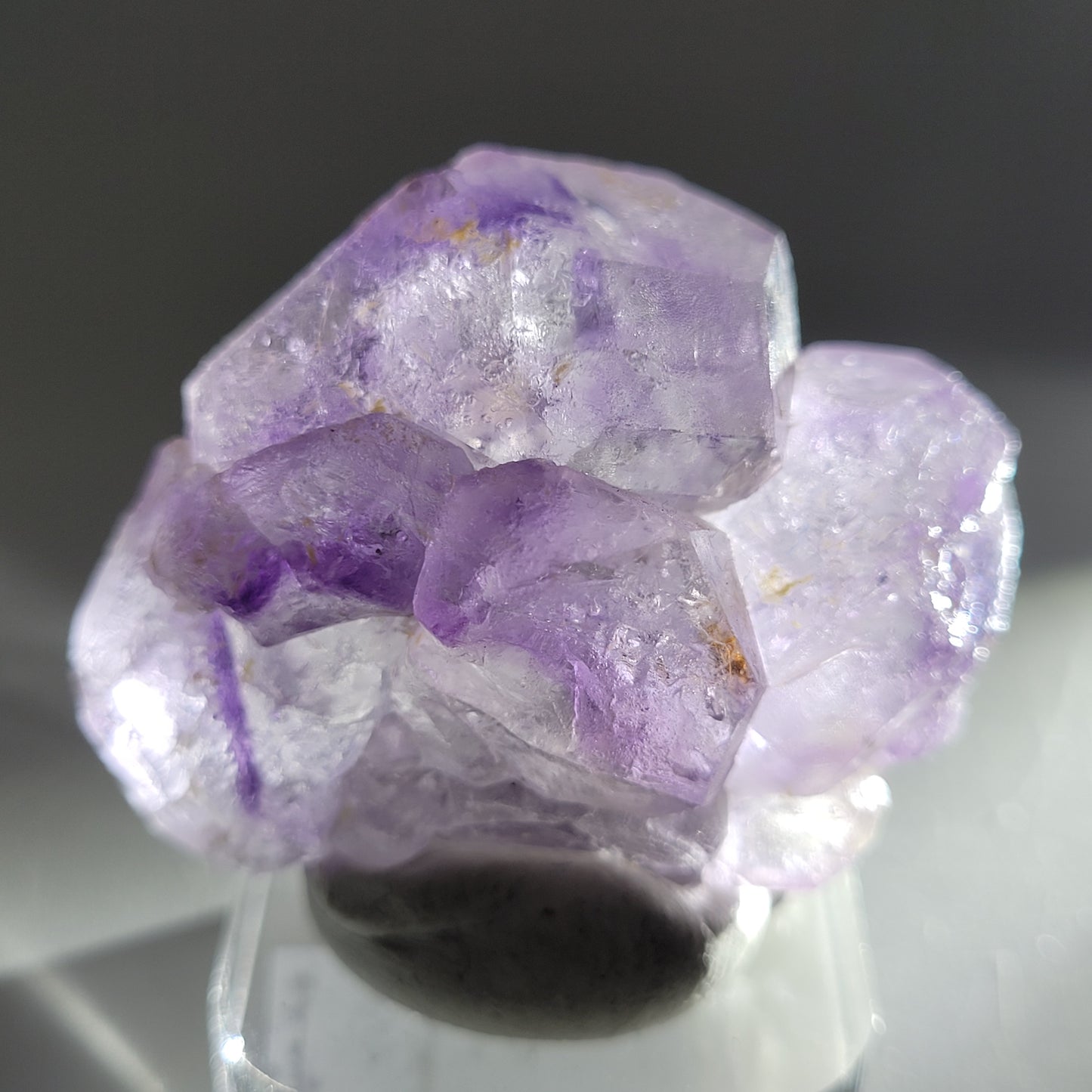 The Crystalary's Fluorite from Huallanca, Ancash, Peru (SKU 804), features hexagonal purple crystals on a clear circular base. The translucent crystals have reflective surfaces that beautifully capture and play with light.