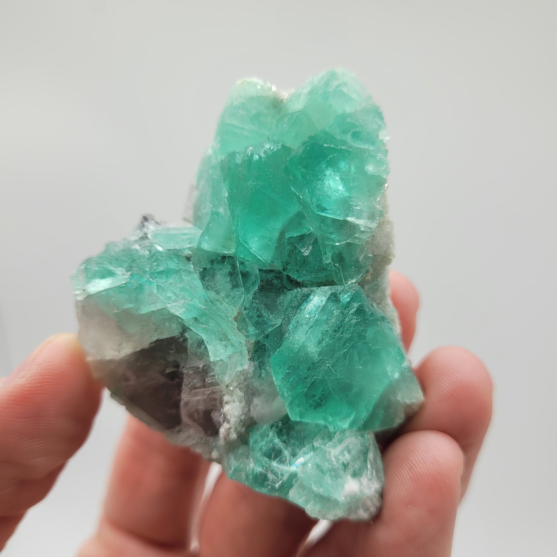 A hand holds a cluster of translucent minty green fluorite crystals with hints of white and gray. The Crystalary's El Papiol Fluorite (SKU 805) features a glossy finish and geometric shapes, reflecting light against a soft, blurred background.