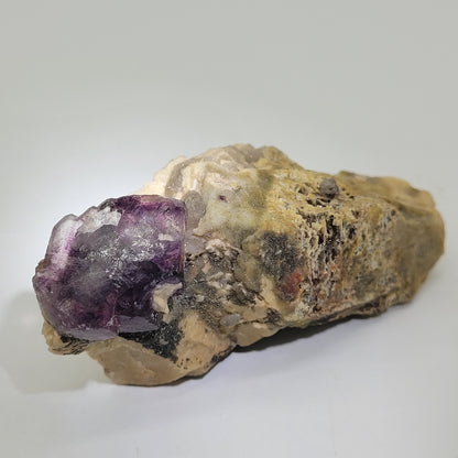 A close-up of a raw dark purple, translucent Fluorite crystal from The Crystalary, Minas Gerais, Brazil (sku 807), embedded in a rough beige Feldspar rock. This striking piece resembles stained glass against the muted rock tones.