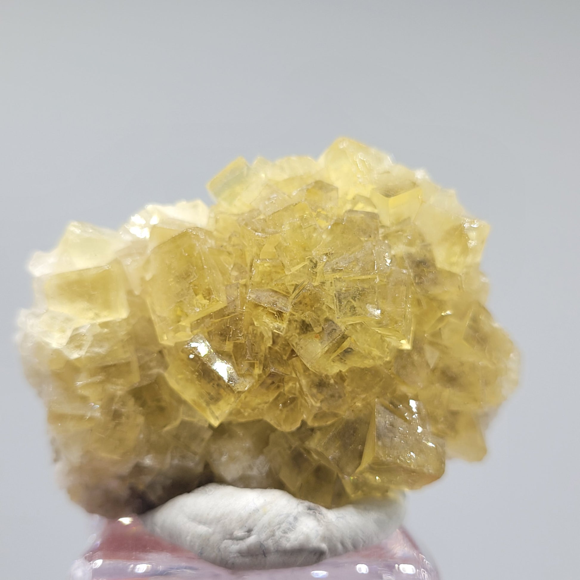 Showcased against a neutral background, the translucent yellow Fluorite from El Ponton de Solis, sku 808 by The Crystalary, features glossy cubic structures elegantly resting on a small white base.