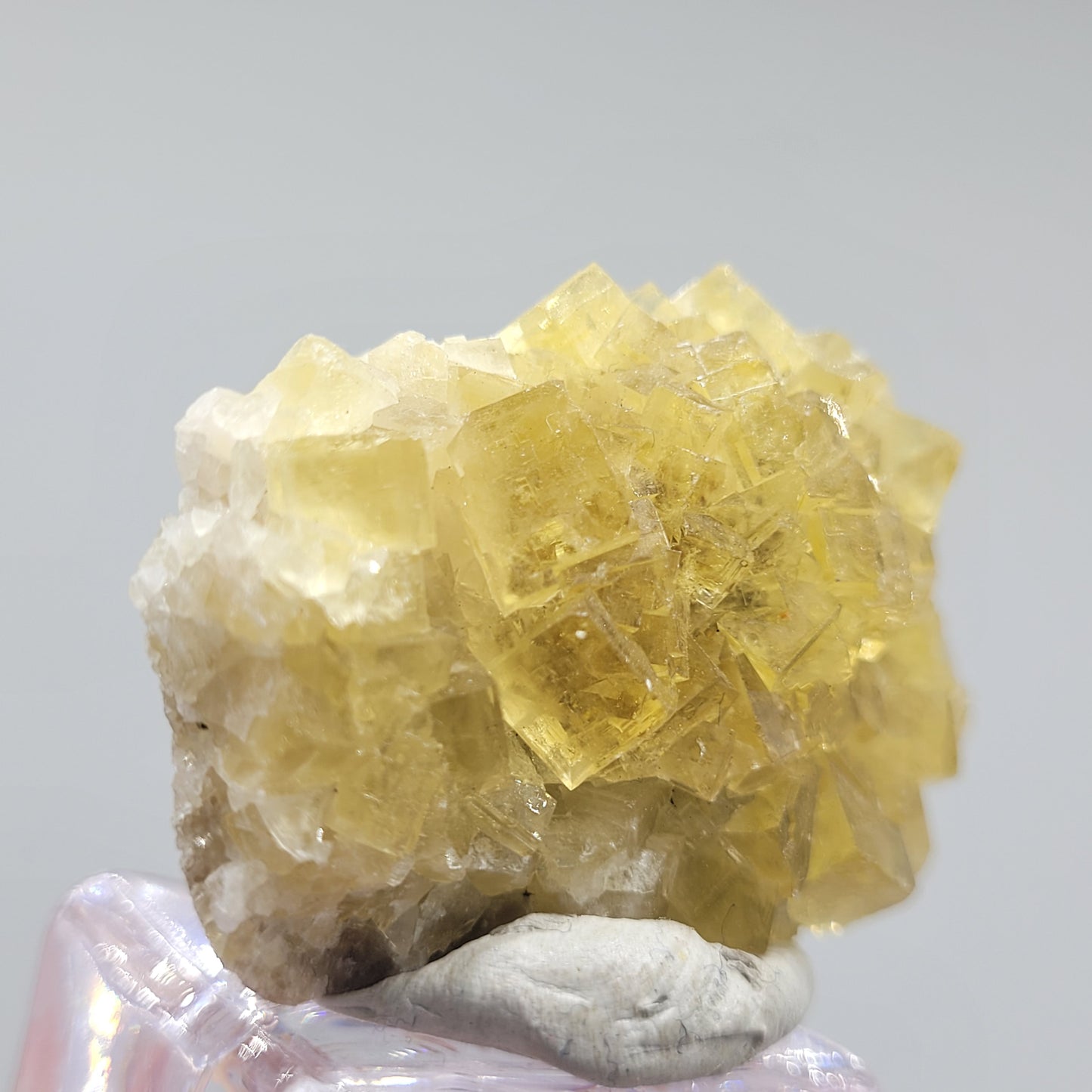 A cluster of cubic-shaped, yellow fluorite crystals from The Crystalary's Fluorite - Moscana Mine piece (sku 808) rests on a gray base with a soft gray backdrop. Their translucent, geometric beauty is captivating.