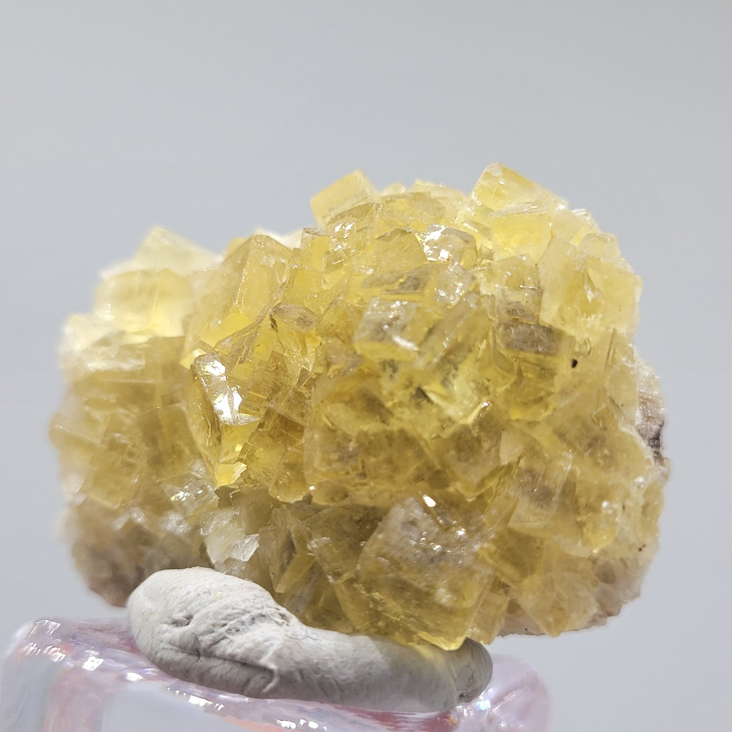 A captivating close-up image features translucent yellow fluorite crystals from The Crystalary (Fluorite-Moscana Mine, El Ponton de Solis, Corvera de Astruias, Spain, SKU 808). Delicately perched on a clay-like base, these miniature cubic formations capture light with a glossy sheen.