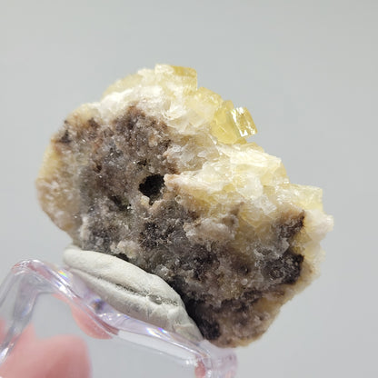 Close-up of a mineral specimen named Fluorite from the Moscana Mine, Spain, SKU 808, by The Crystalary. It features dark brown and cream colors with pyramid-like yellow fluorite crystals on top. This miniature marvel is displayed on a stand against a plain background.