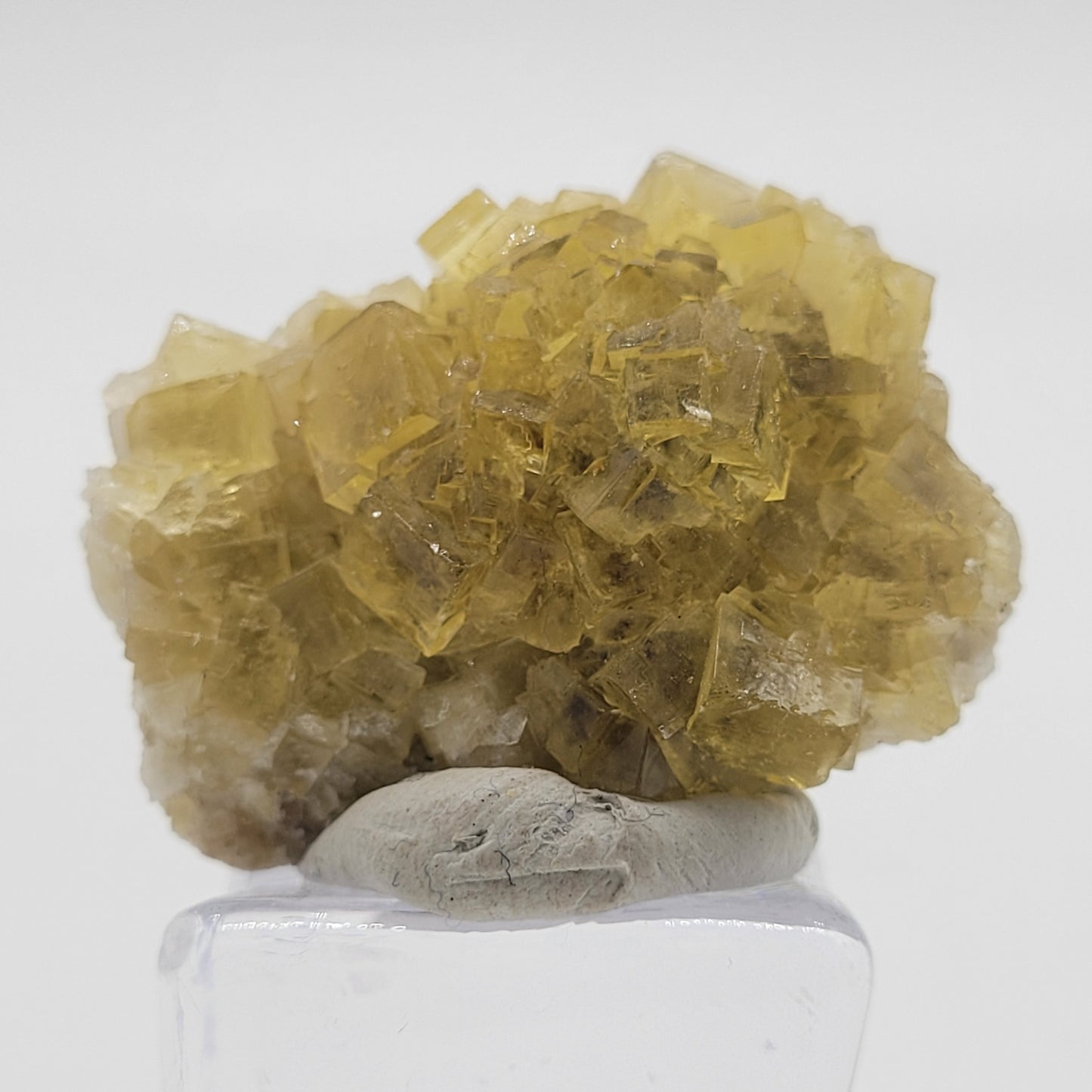 A miniature cluster of translucent yellow fluorite crystals from the Moscana Mine by The Crystalary rests on a gray rock with a clear stand against a white background, SKU 808.