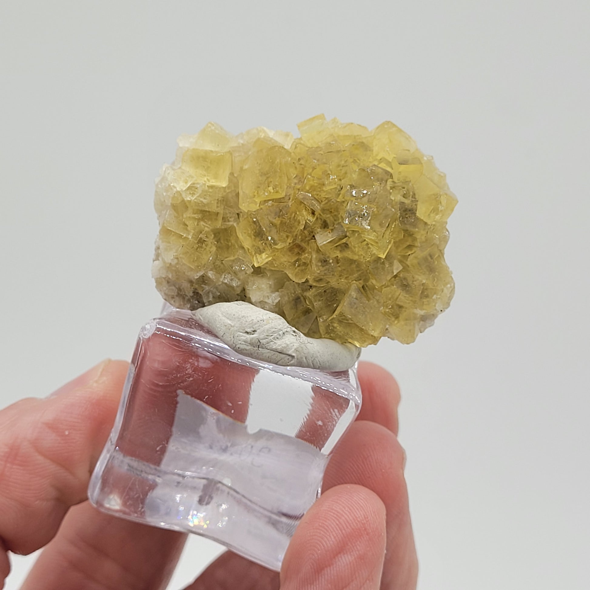 A hand gracefully holds a small yellow fluorite cluster from The Crystalary, SKU 808, sourced from the Moscana Mine in Spain. Perfectly perched on a white and clear display stand against a plain white backdrop, it highlights the miniature beauty of this exquisite piece.