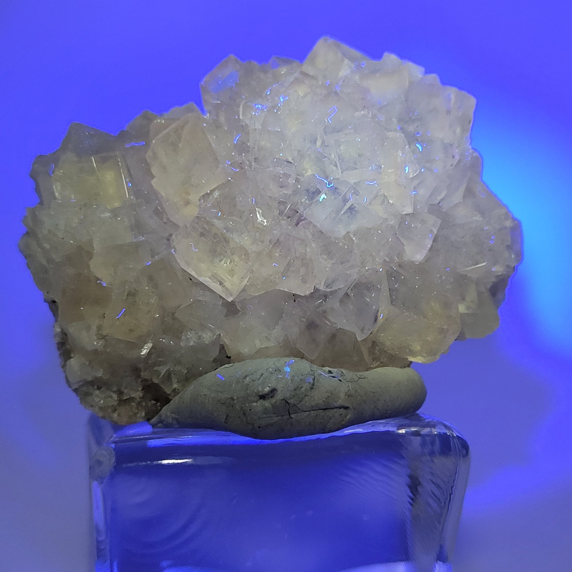 A cluster of translucent crystalline minerals, featuring miniature yellow fluorite from Monscana Mine, is displayed on a rock atop clear glass. A deep blue gradient background enhances the details of these crystals from The Crystalary.