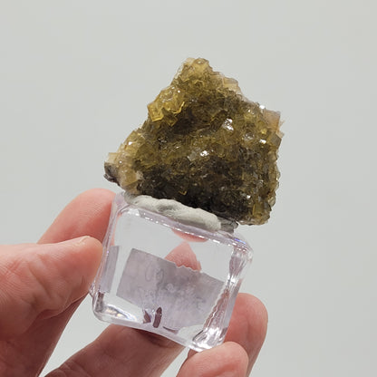 A hand holds a transparent display case featuring sparkling greenish-brown crystals with honey-yellow fluorite from The Crystalary's Fluorite collection, sourced from the Moscana Mine in Spain. SKU 809.