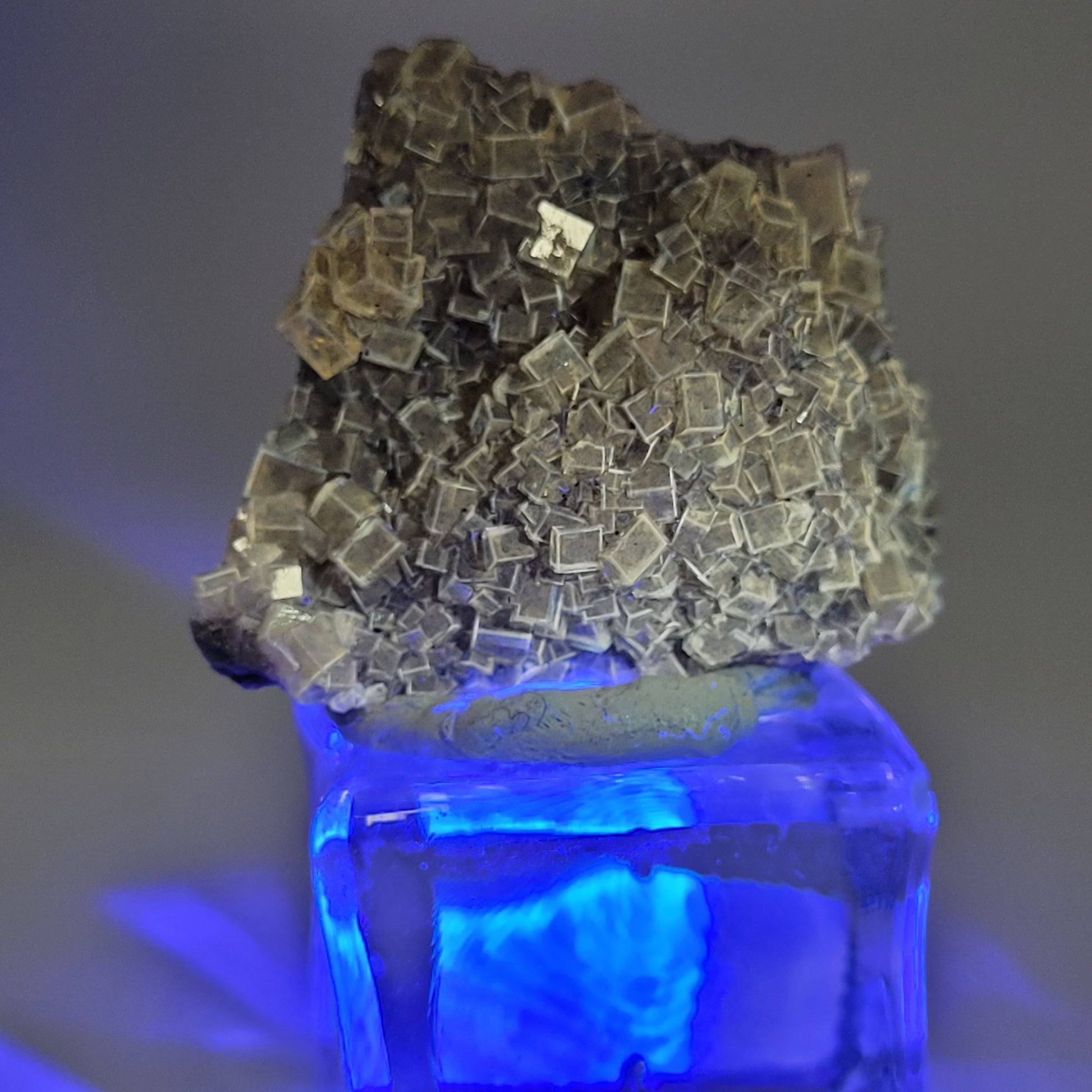 The Crystalary's Fluorite from the Monscana Mine in Spain (sku 809) features a cluster of honey-yellow geometric crystals atop a glowing blue base, showcasing intricate textures and varying sizes for striking visual contrast.