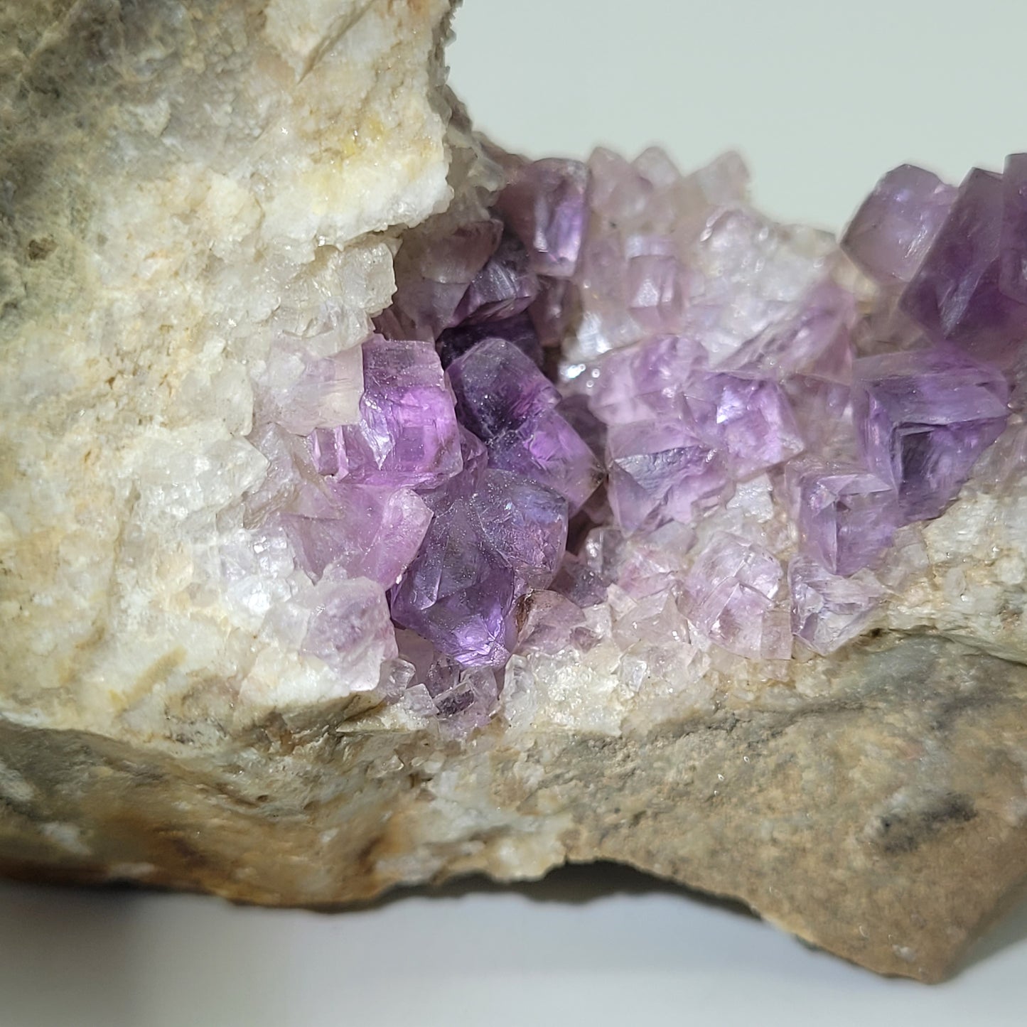 A close-up of the Fluorite specimen from Jaimina Mine, Asturias, Spain, displays clusters of purple-hued crystals embedded in a light rock. SKU: 810. The Crystalary.