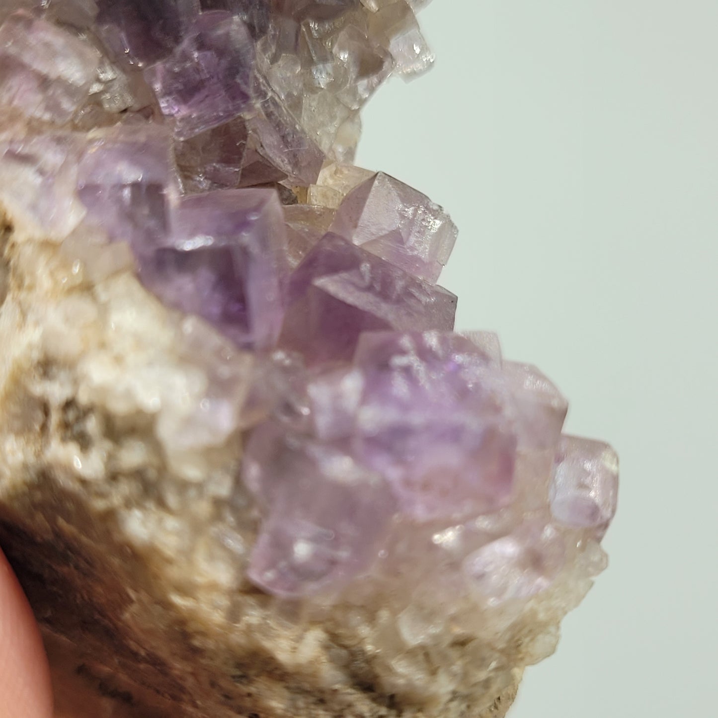 Close-up of The Crystalary's vibrant lavender Fluorite from Jaimina Mine, Asturias (sku 810), nestled on rough beige rock. This striking Spanish specimen contrasts beautifully with muted tones, set against a soft, blurred light gray background to enhance its captivating allure.