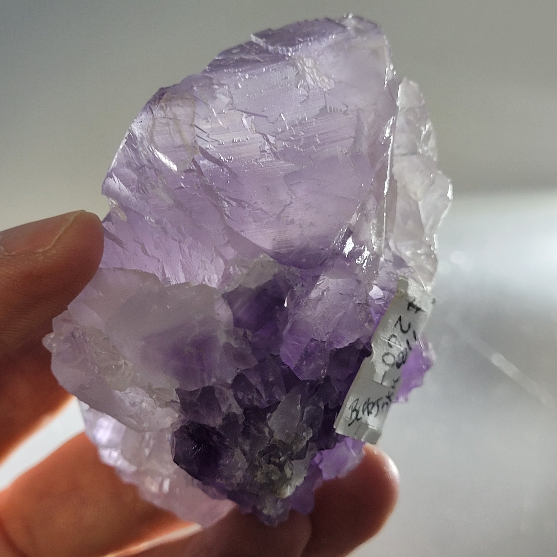 A hand holds a large, translucent purple Fluorite crystal from The Crystalary, reminiscent of the Berbes Mine in Ribadesella. Displaying varying shades of purple and sku 811, it has jagged edges with a small label on its surface against a softly lit blurred background.