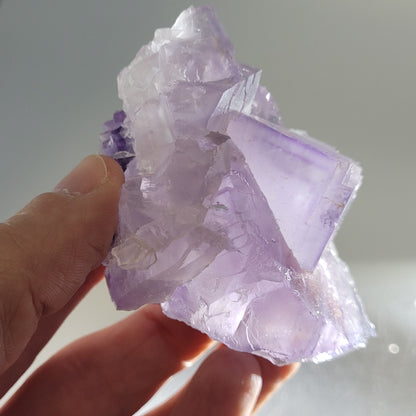 A hand holds a translucent purple mineral, likely "Fluorite-Berbes" from The Crystalary, SKU 811. Against a softly lit background, its crystalline structure gleams with sharp facets and a gentle lavender gradient.