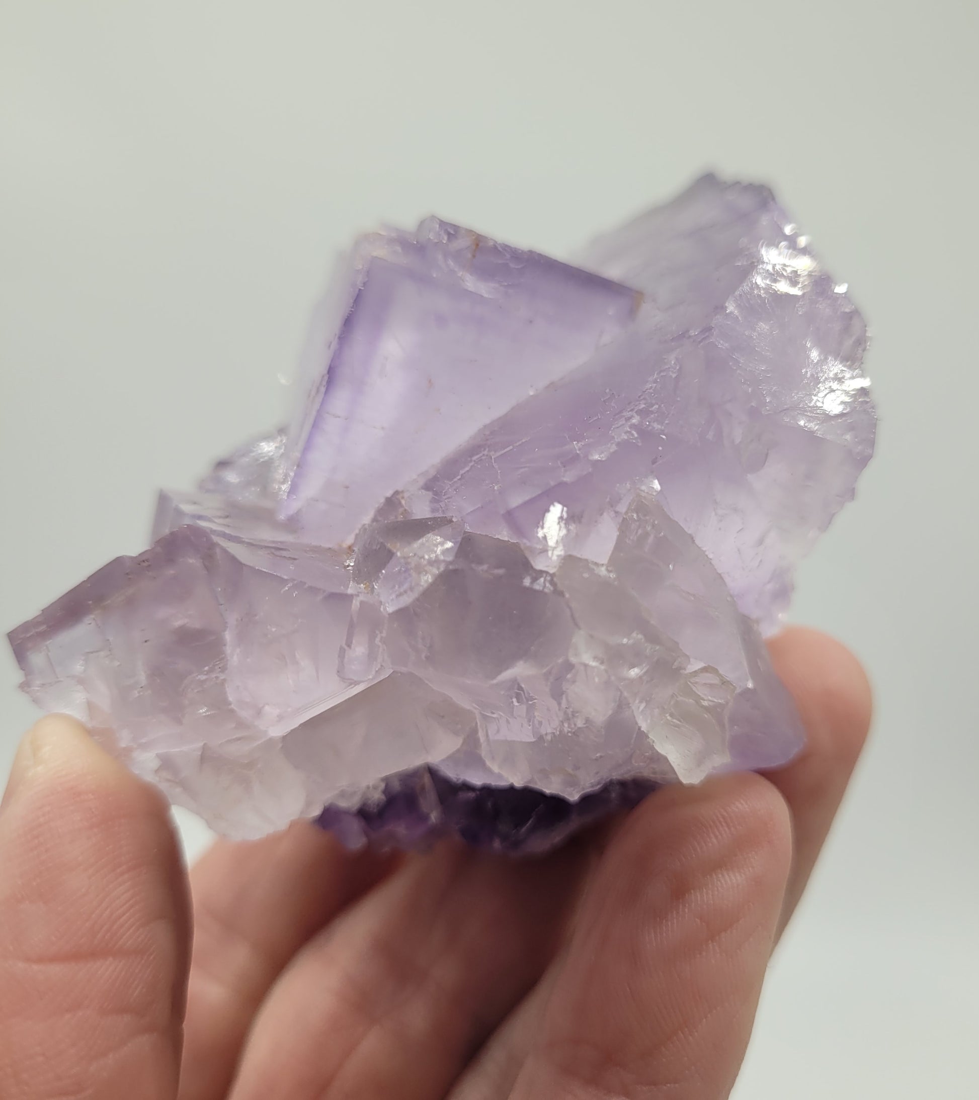 A hand displays a cluster of translucent, light purple fluorite crystals from The Crystalary's Berbes collection (Ribadesella, Asturias, Spain, SKU 811) against a plain white background.