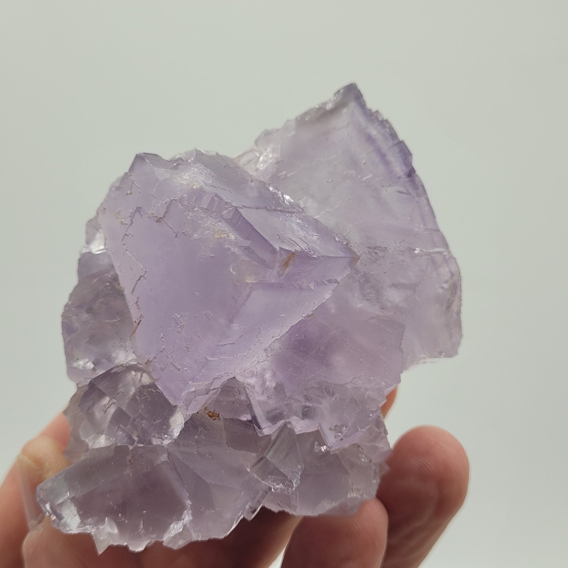 A hand displays a cluster of translucent amethyst and purple Fluorite from Berbes, Ribadesella, Asturias, Spain (sku 811) by The Crystalary, showcasing sharp edges and a glass-like texture against a plain white background.