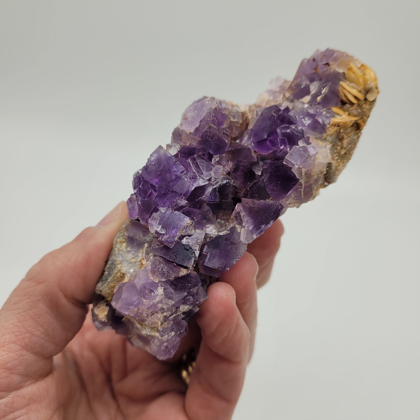 A hand holds a cluster of vibrant Fluorite- Berbes crystals, reminiscent of Ribadesella's renowned sites. These sku 812 crystals from The Crystalary vary in size with some rough edges and a few brown deposits visible on the rock formation.