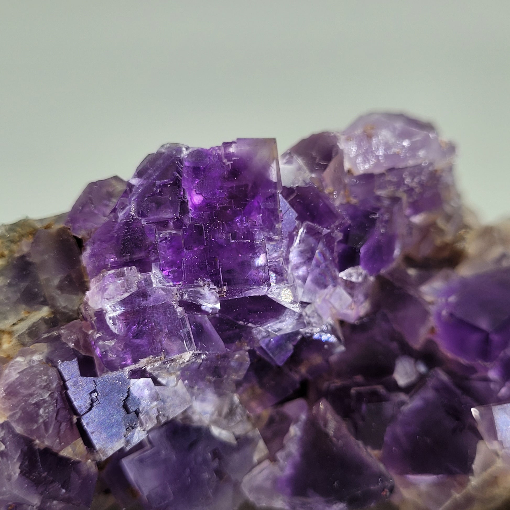 The Crystalary's Fluorite, from Berbes, Ribadesella, Asturias, Spain (SKU 812), features vibrant purple cubic crystals with a glossy sheen and varied shades. Its intricate textures and gradients are enhanced by a softly blurred background.