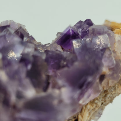 A close-up of vivid purple amethyst crystals features sharp edges and a rough texture, reminiscent of The Crystalary's Fluorite - Berbes, Ribadesella, Asturias, Spain (sku 812). The softly blurred background highlights the gemstones' intricate details and reflective surfaces.