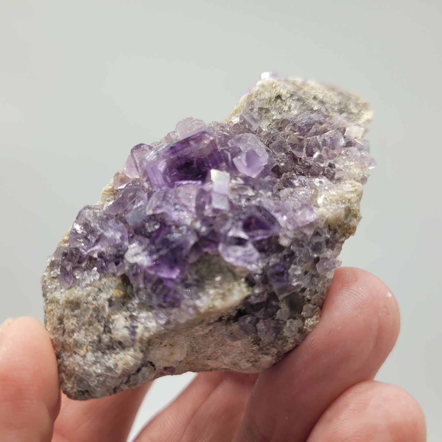 A hand holds a striking Fluorite specimen from The Crystalary, featuring glossy purple crystals against a rough stone texture. Sourced from the Berbes Mine near Ribadesella, Asturias, Spain (sku 813), it stands out beautifully against a plain gray background.