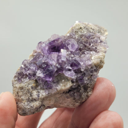 A hand holds a striking Fluorite specimen from The Crystalary, featuring glossy purple crystals against a rough stone texture. Sourced from the Berbes Mine near Ribadesella, Asturias, Spain (sku 813), it stands out beautifully against a plain gray background.