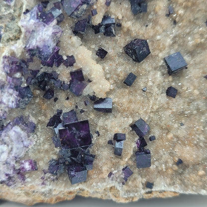 Close-up of a Fluorite cube cluster from Highway 17 Roadcut, Yesno Township, Ontario (SKU 814) by The Crystalary. Small dark purple cubes contrast against a light brown textured rock surface.