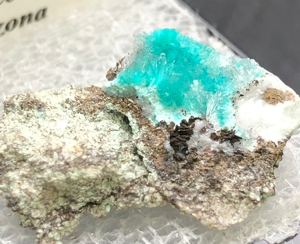 AUCTION- Aurichalcite, Hemimorphite- 79 Mine, Gila County, Arizona, USA