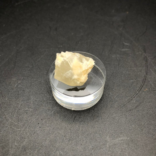 A small, rough cream calcite crystal from The Crystalary's AUCTION collection, originating from Corydon Stone Co. Quarry in Harrison County, Indiana, USA, is displayed on a transparent round stand against a dark, textured background. The off-white mineral features a slightly translucent quality.