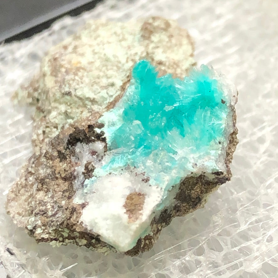 AUCTION- Aurichalcite, Hemimorphite- 79 Mine, Gila County, Arizona, USA