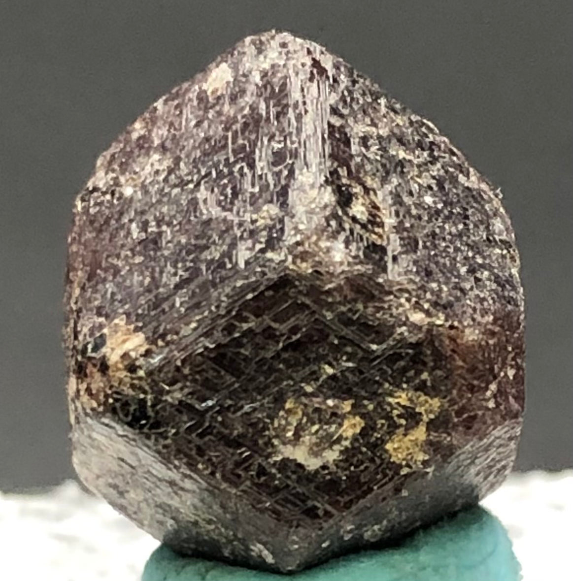 AUCTION- Garnet var Andradite- Green's Farm, Roxbury, Connecticut, USA