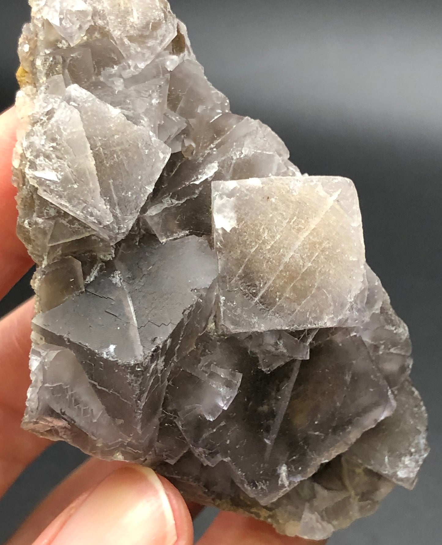 AUCTION- Fluorite- Mekhtar, Loralai, Balochistan, Pakistan